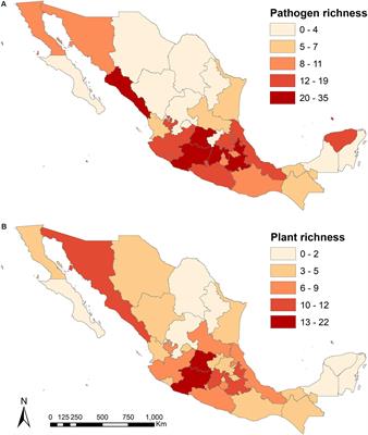 Antagonistic Interactions Between Fusaria Species and Their Host Plants Are Influenced by Host Taxonomic Distance: A Case Study From Mexico